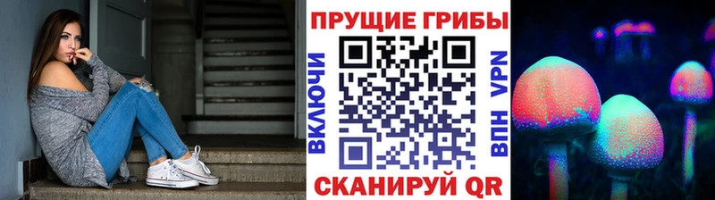Галлюциногенные грибы мицелий  Покачи 
